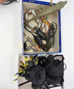 Animated spiders, rubber snakes, frog, etc