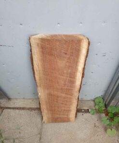 Dry Black walnut board Lot 1