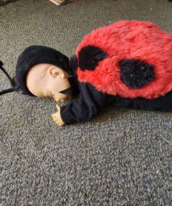 ladybug baby