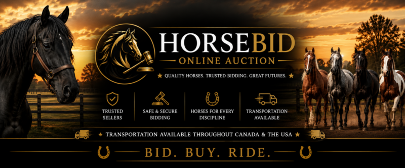 Horsebid