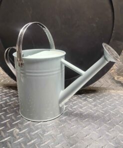 Pale green metal watering can (WITH SILVER HANDLE)
