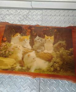 Wood back Laquered kitten wall hanging