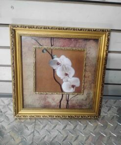 Framed Orchid White
