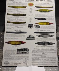 Large Peterborough canoes