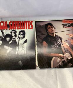 Vinyl LPs - George Thorogood & Georgia Satellites