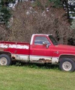 1982 4x4 Chev Pick up truck
