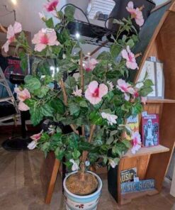 Artificial Hibiscus tree
