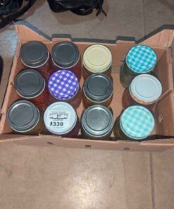Style Setter Owl Coloured glass jars