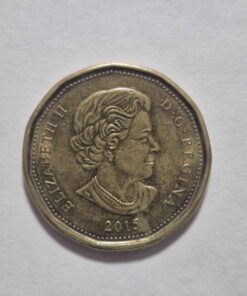 Dark brown 2015 loonie