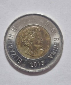 2015 toonie with various color variations
