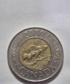 Knowledge Toonie