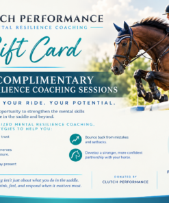 MENTAL RESILIENCE COACHING WITH CLUTCH PERFORMANCE