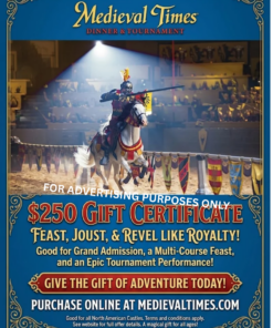 MEDIEVAL TIMES DINNER & SHOW