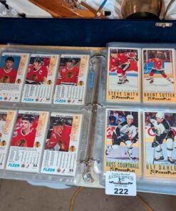 Power play Hockey cards