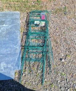 Wire plant supports