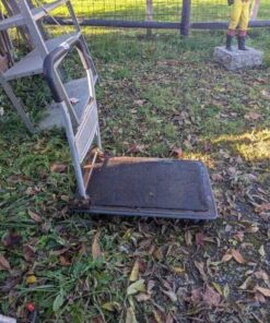 Platform dolly