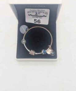 Pandora Charm bracelet